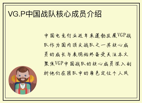 VG.P中国战队核心成员介绍