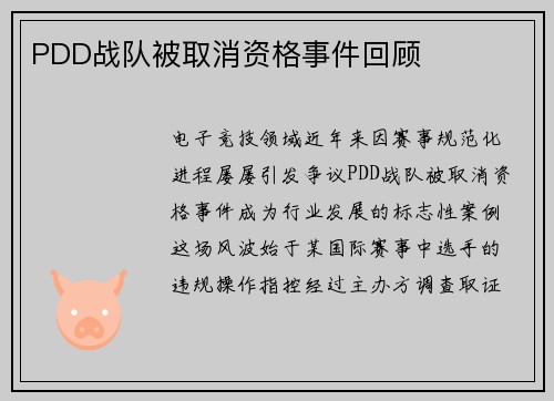 PDD战队被取消资格事件回顾